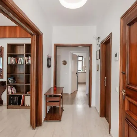 Plumeria Alba Rhodes City