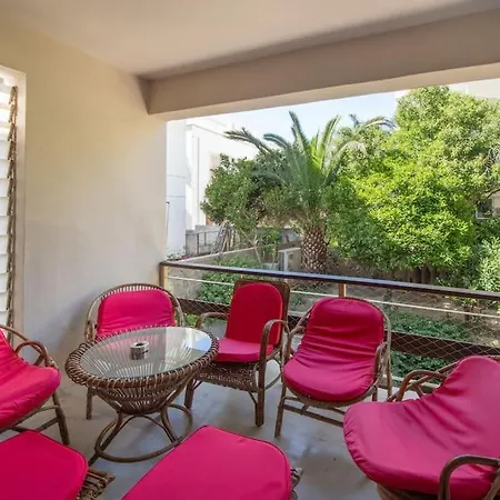 Plumeria Alba * Rhodes City