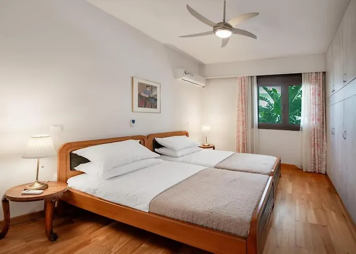 Plumeria Alba * Rhodes City