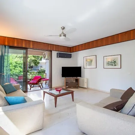 Plumeria Alba Daire Rhodes City